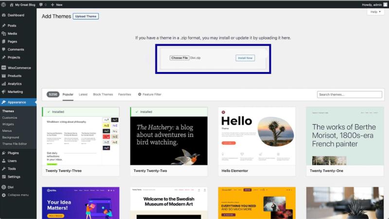 Install and Activate the Divi theme